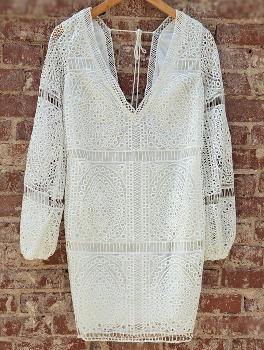 Medium Hot Mess Lace Dream Dress